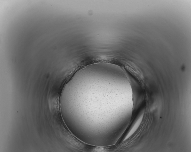 X0000090780425200707271553
