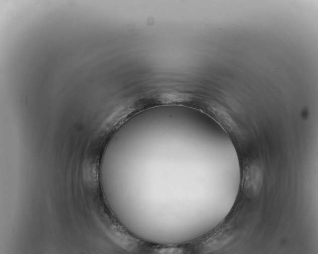 X0000090780426200707271553