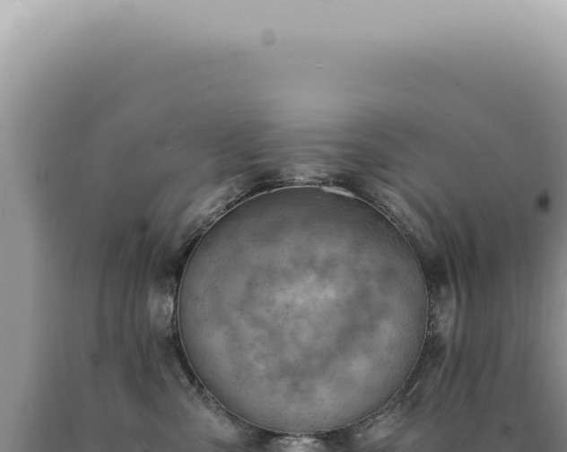 X0000090780427200707271553