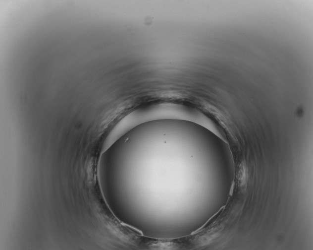 X0000090780428200707271553