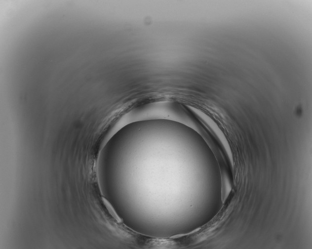 X0000090780429200707271553