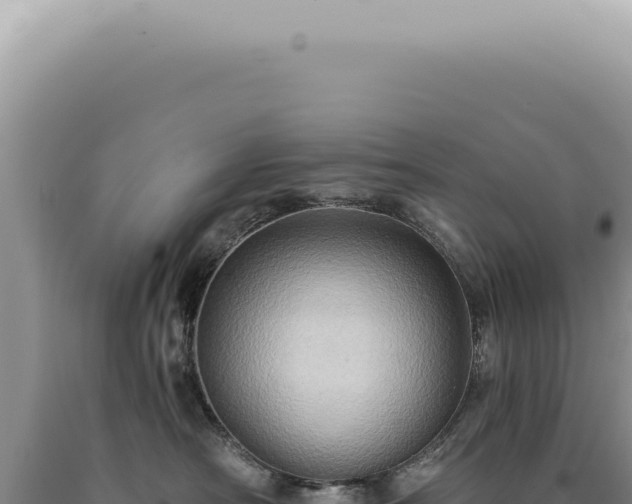 X0000090780430200707271553