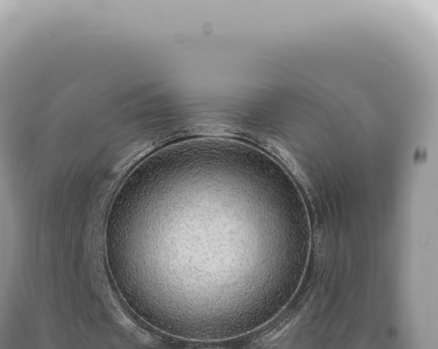 X0000090780433200707271552