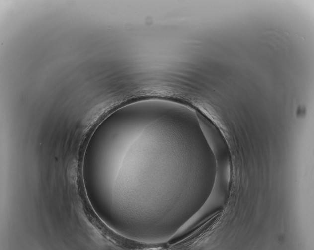 X0000090780434200707271552