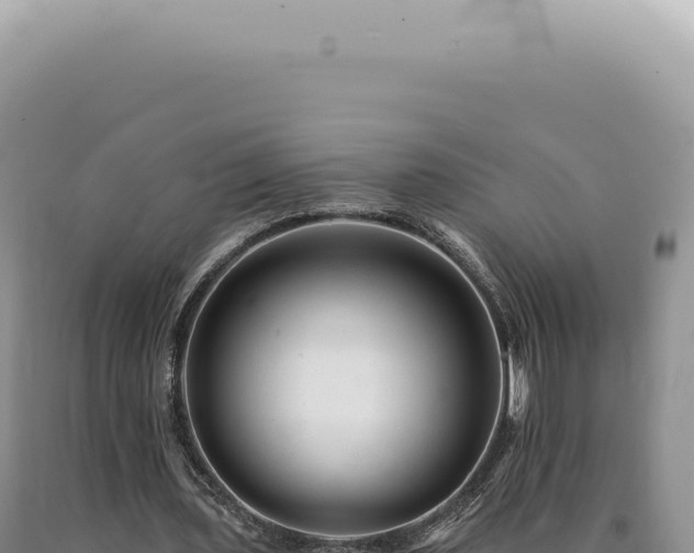 X0000090780435200707271552