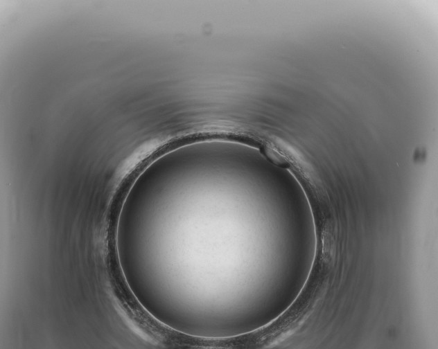 X0000090780436200707271552