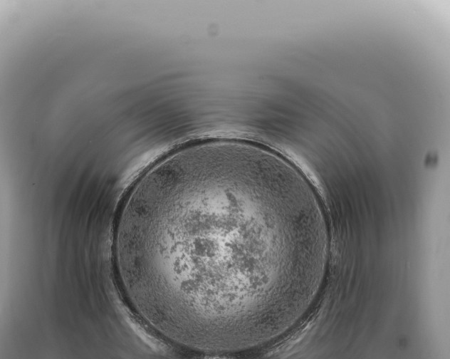 X0000090780437200707271552