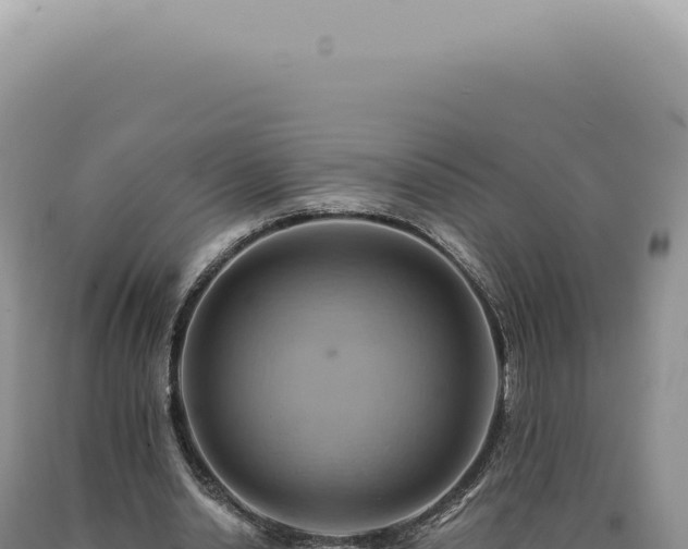 X0000090780438200707271552