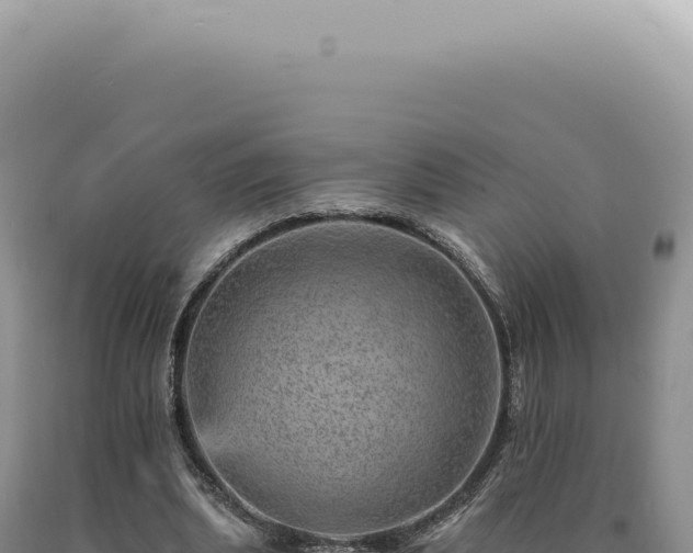 X0000090780439200707271552