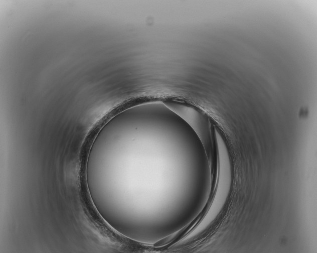X0000090780440200707271552