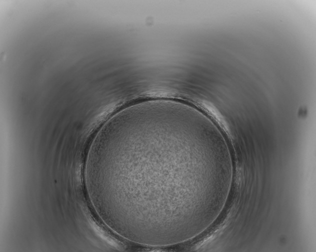 X0000090780441200707271552