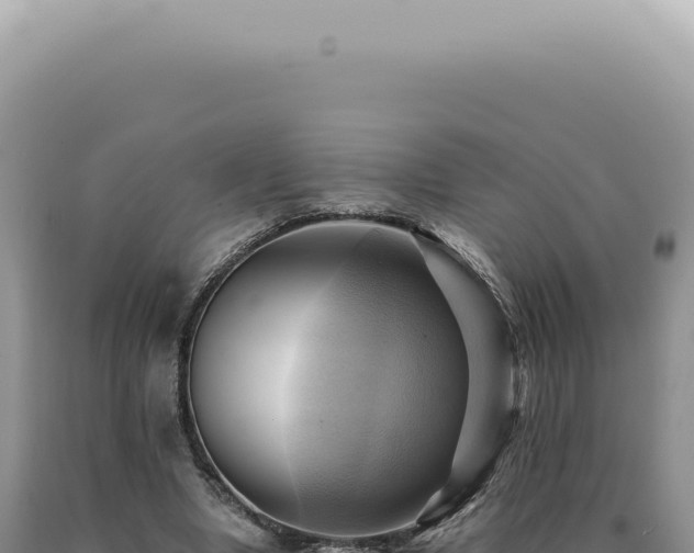 X0000090780442200707271552