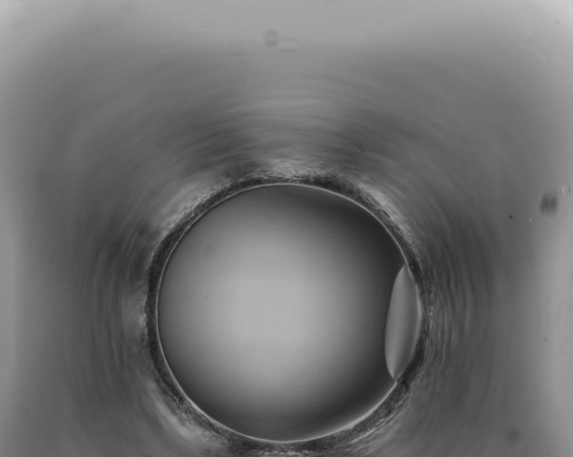 X0000090780443200707271552