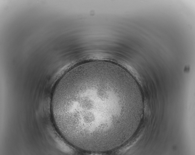 X0000090780445200707271552