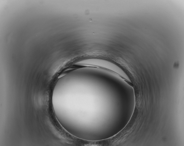 X0000090780448200707271552