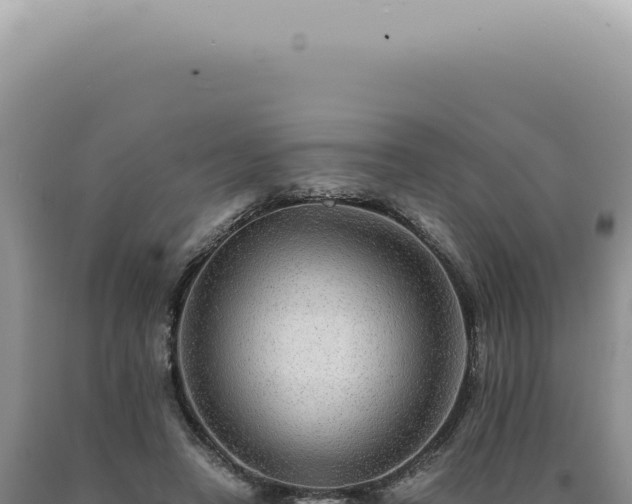 X0000090780450200707271552