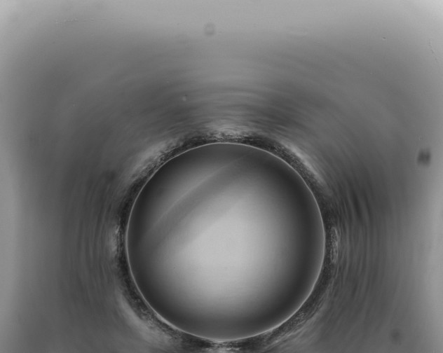 X0000090780451200707271552