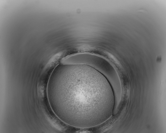 X0000090780452200707271552
