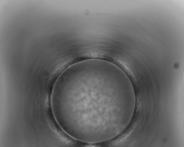 X0000090780453200707271552