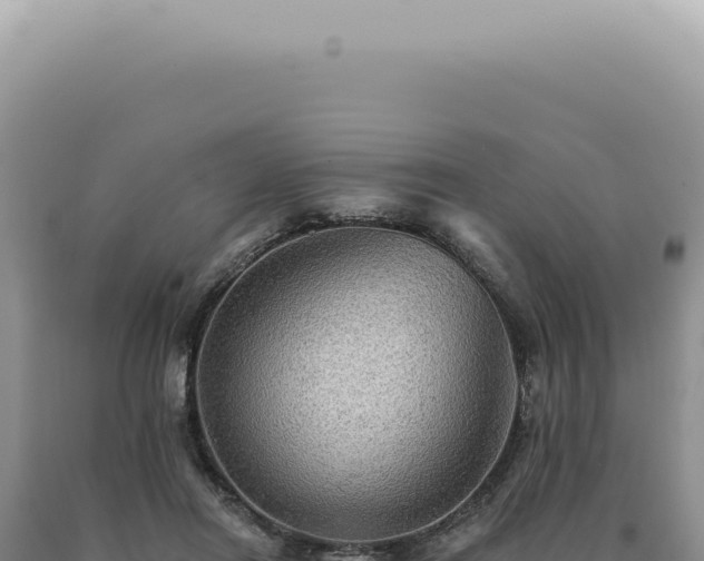 X0000090780454200707271552