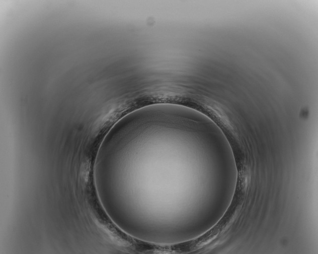 X0000090780458200707271553