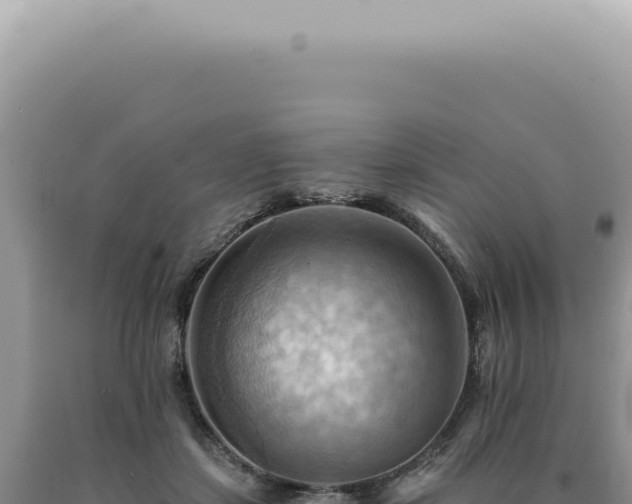 X0000090780459200707271553