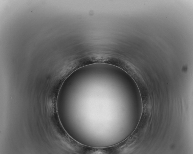 X0000090780460200707271553