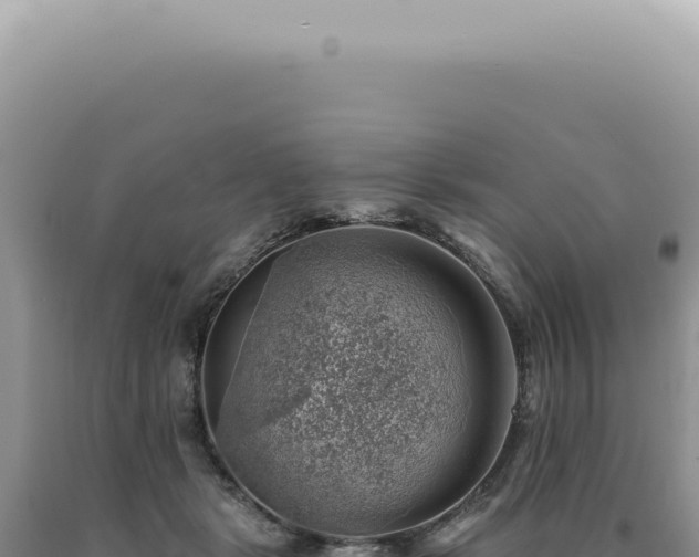 X0000090780461200707271553
