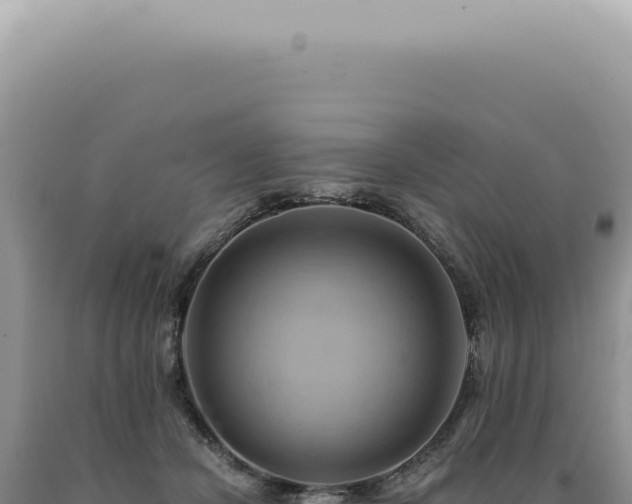 X0000090780462200707271553