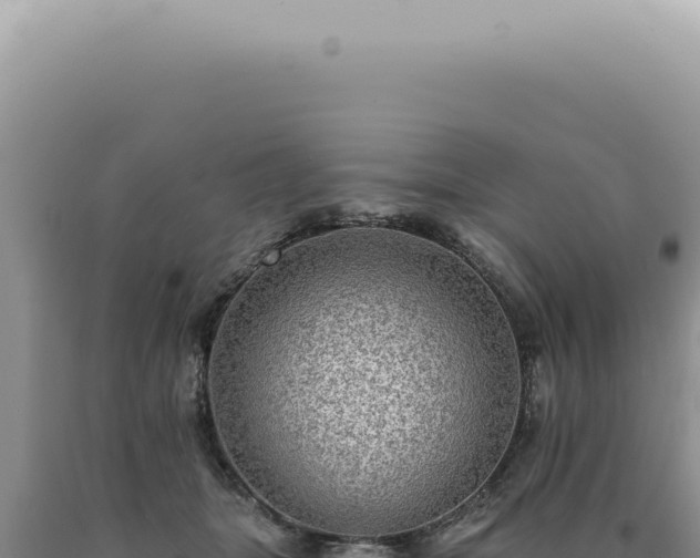 X0000090780463200707271553
