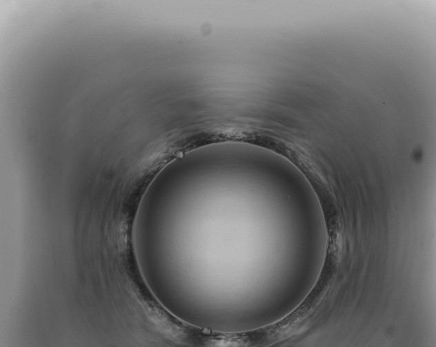 X0000090780466200707271553
