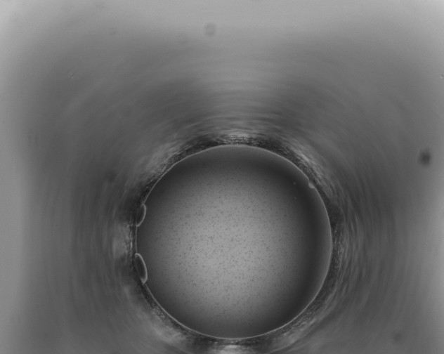 X0000090780467200707271553
