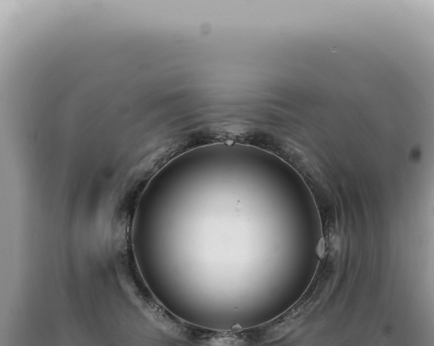 X0000090780468200707271553