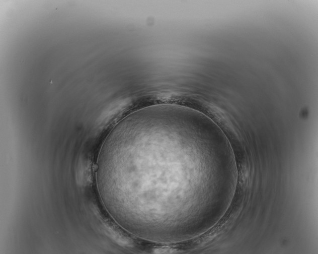 X0000090780470200707271553