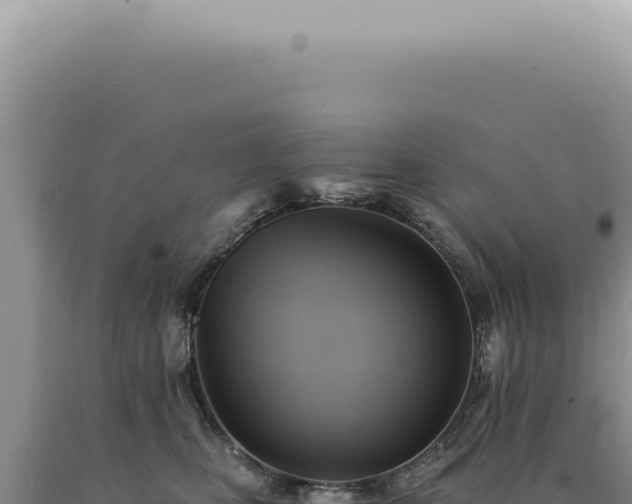 X0000090780471200707271553