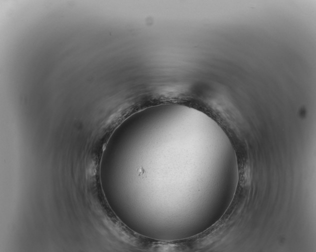 X0000090780472200707271553