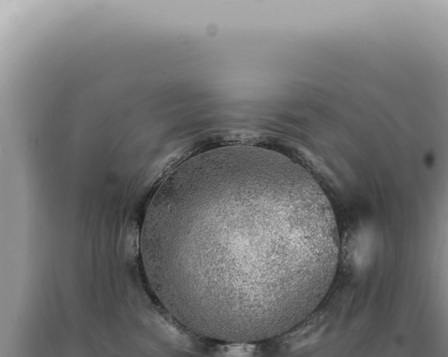 X0000090780474200707271553