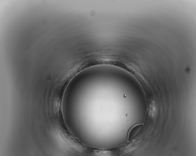 X0000090780476200707271553