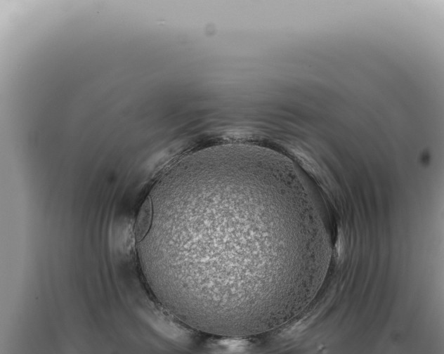 X0000090780478200707271553