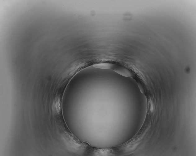 X0000090780479200707271553