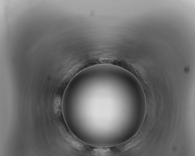 X0000090780480200707271553