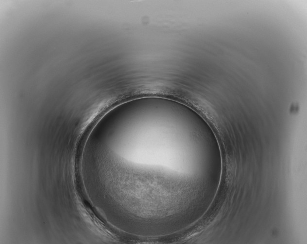 X0000090780482200707271552
