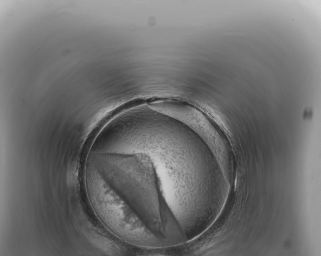 X0000090780483200707271552