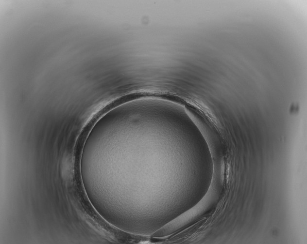 X0000090780484200707271552