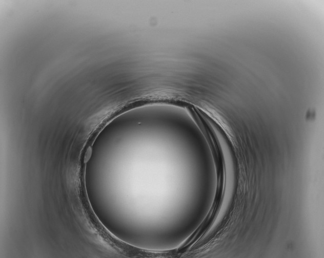 X0000090780485200707271552
