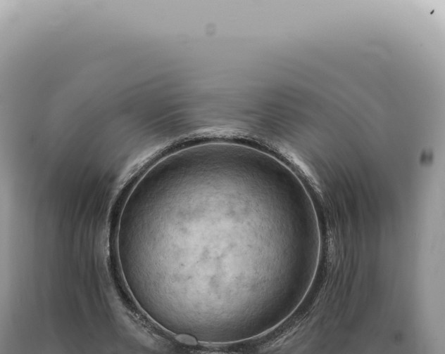 X0000090780486200707271552