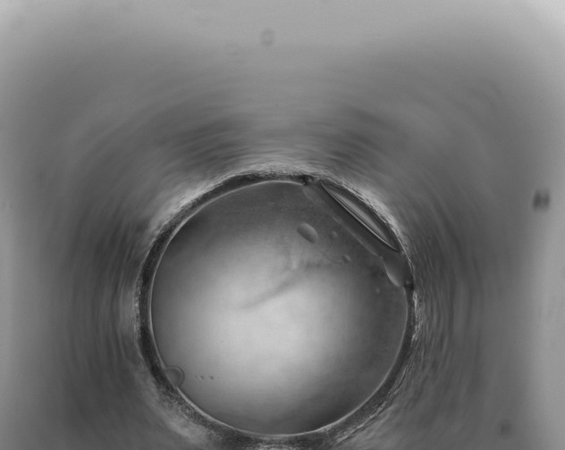 X0000090780487200707271552