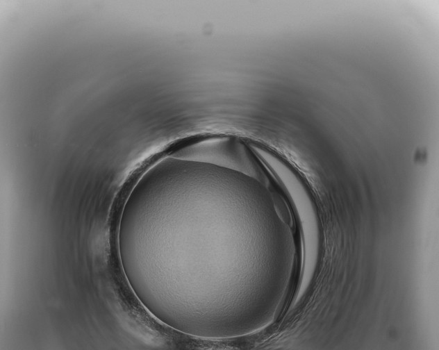 X0000090780488200707271552