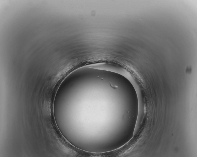 X0000090780489200707271552