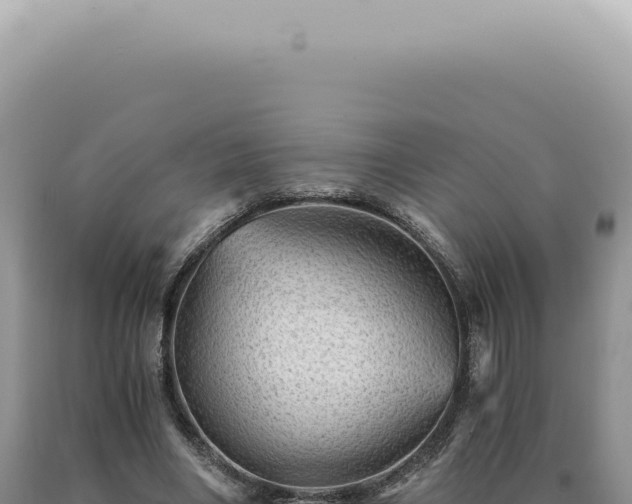X0000090780490200707271552